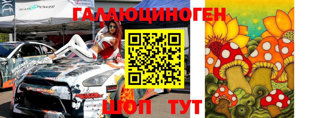 Псилоцибиновые грибы Psilocybe Богородицк